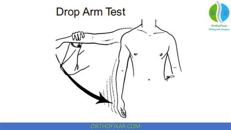 rotator cuff tests drop arm|positive drop arm test.